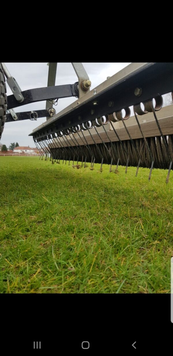 Angled Double Spring Harrow Tines 4.0mm - Image 2